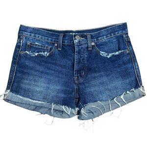 BDG Tomgirl button fly distressed jean shorts 25